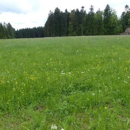 Camping-erbenwald *