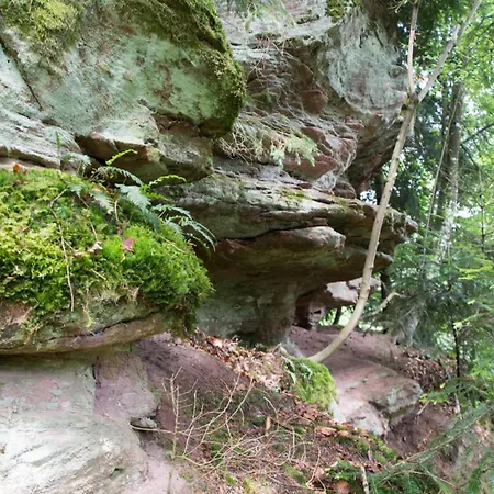 Camping-erbenwald Neubulach