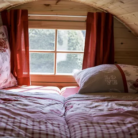 Campsite Camping-erbenwald