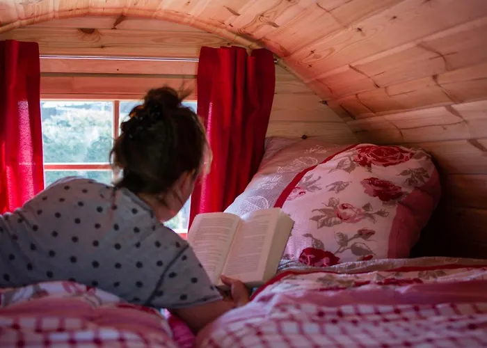 Campeggio Camping-erbenwald *